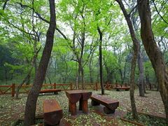 -天门寺