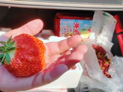 -西郊国际农产品交易中心