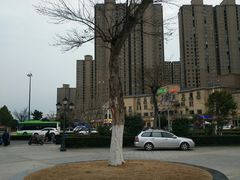 -五里湖湿地公园