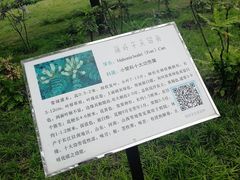 -济南植物园