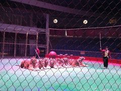 -西安秦岭野生动物园