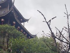 -胡雪岩故居