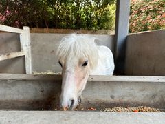 -杭州野生动物世界