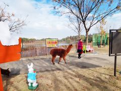 -太阳岛度假酒店