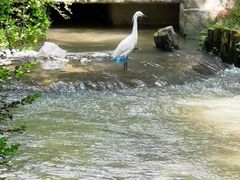 -汇龙潭