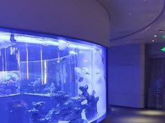 -上和臻品中国菜(花园街店)