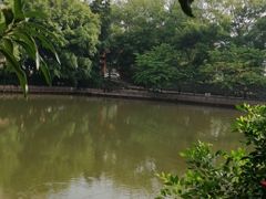 -东莞植物园