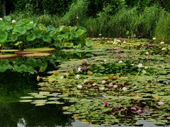 -国家植物园南园