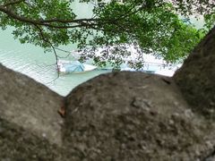 -广州市流溪河国家森林公园