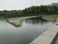-暨阳湖生态园