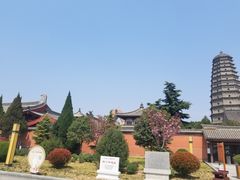 -法门文化景区
