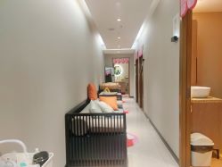 -阅年轻·AI家庭健康体质调理