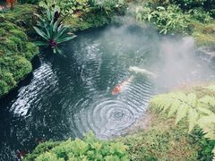 -Chom Cafe and Restaurant