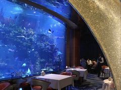 -迪拜帆船酒店海底餐厅