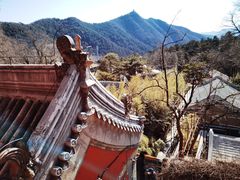 -潭柘寺景区