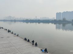 -渭滨公园