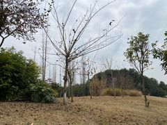 -眉山湿地公园(东坡区)