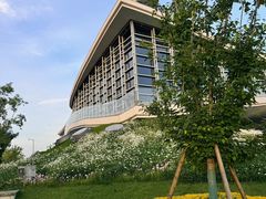-东方美谷JW万豪酒店·The lounge大堂吧