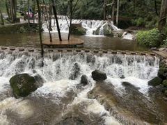 -牛背梁国家森林公园