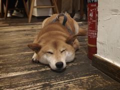 -三目仓咖啡(贤南路店)