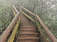 -青城山