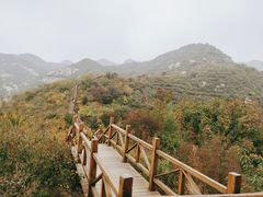 -大岭沟猕猴桃谷风景区