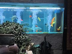 -又见炊烟私房菜(敬亭路店)