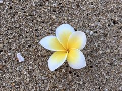 -亚龙湾喜来登·美景台大堂吧