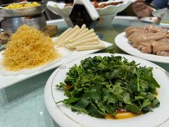 -丁老爷子苏香圆