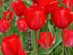 -上海植物园-4号门售票处