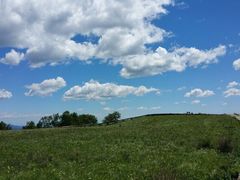 -白草畔自然风景区