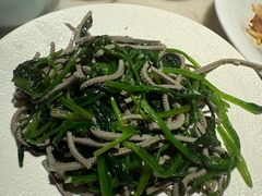 -初蓉丨遇见新川菜(亲贤街荣耀店)