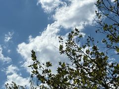 -西安市长乐公园