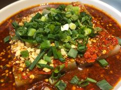 -向川南·水煮鱼·川菜(和平里店)