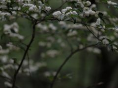 -兴福老面馆(寺路街店)