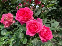 -上海科技馆(地铁站)