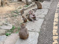 -黔灵山公园