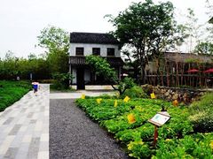 -田园东方蜜桃村的田野营地