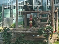 -大连森林动物园