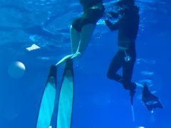 -烟台海昌鲸鲨海洋公园