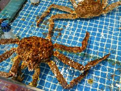 -新金盛·海鲜酒楼(盐田店)