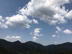 -宁波浙东大竹海景区