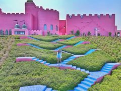 -漳州滨海火山岛自然生态风景区