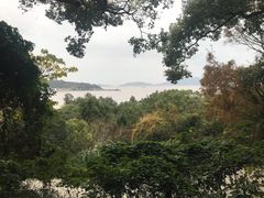 -长生素斋(普陀山店)
