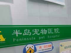 -半岛宠物医院24小时(科华中路店)