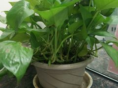 -兴业银行(上海五角场支行)