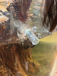 -Zoolung Zoolung动物主题公园(海信广场店)