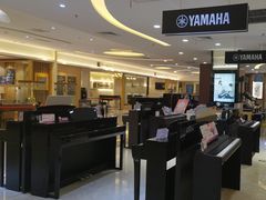 -知音艺术教育培训·钢琴培训·音乐培训(河西金鹰世界校区)