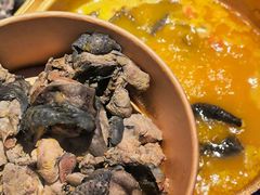 -Darling Queen·Mini·Live·House