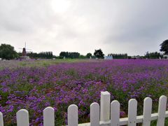 -渔岛海洋度假区